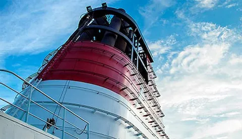 Sulphur Cap 2020